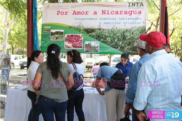 Productores de granos básicos abordan conservación de semillas criollas